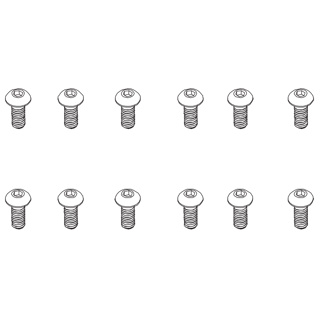 B head hex screw HM4*10   12pcs