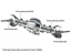 Cc-02 F Assy Univ Shafts Lr